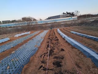 kh글로벌님의 자유주제 · 자유게시판 작성글 사진