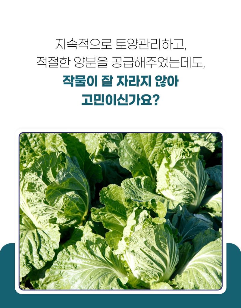 플랜큐님의 장터 판매 상품 [더쎈 칼슘마그 10kg 고품질 석회 고토 유황 붕소 비료 토양개량제] 첨부 사진