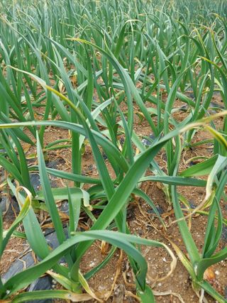 재연농장님의 자유주제 · 자유게시판 작성글 사진