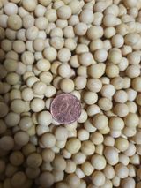 팜모닝 · 게시글 이미지