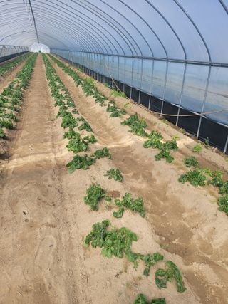 임한혁님의 자유주제 · 자유게시판 작성글 사진