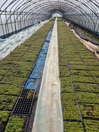 병풍취산채농원님의 자유주제 · 자유게시판 작성글 사진