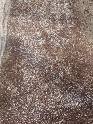 무료지식나눔 팜닥터님의 자유주제 · 자유게시판 작성글 사진