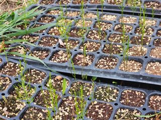 이창신님의 자유주제 · 자유게시판 작성글 사진