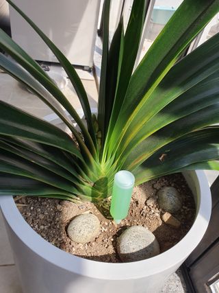 권기은님의 자유주제 · 자유게시판 작성글 사진