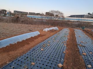 kh글로벌님의 자유주제 · 자유게시판 작성글 사진