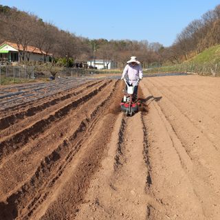 전진욱님의 자유주제 · 자유게시판 작성글 사진