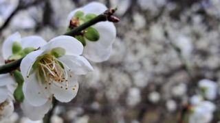 이정운님의 자유주제 · 자유게시판 작성글 사진