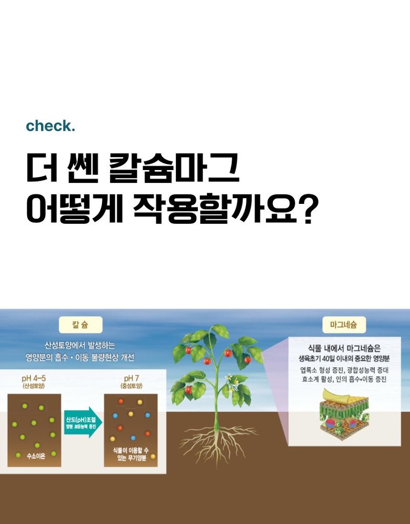 플랜큐님의 장터 판매 상품 [더쎈 칼슘마그 10kg 고품질 석회 고토 유황 붕소 비료 토양개량제] 첨부 사진