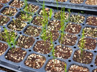 이창신님의 자유주제 · 자유게시판 작성글 사진