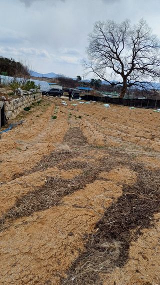 박순덕님의 자유주제 · 자유게시판 작성글 사진