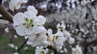 이정운님의 자유주제 · 자유게시판 작성글 사진