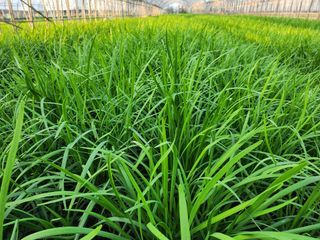 조일현님의 작성글 사진