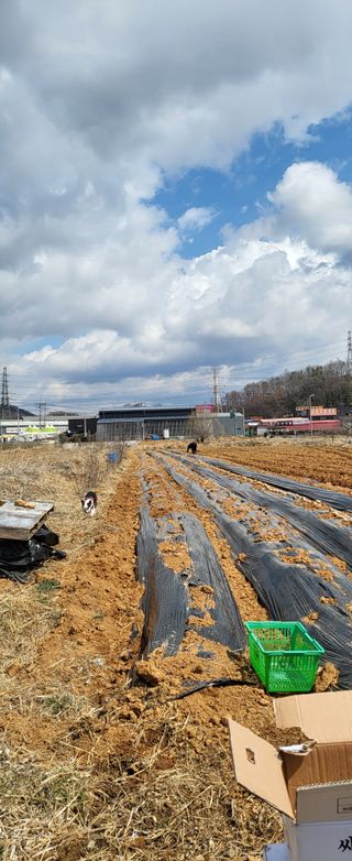 장경화님의 자유주제 · 자유게시판 작성글 사진