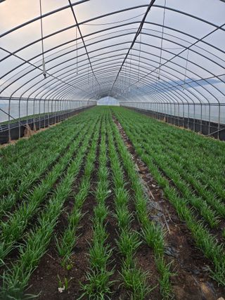 조일현님의 작성글 사진