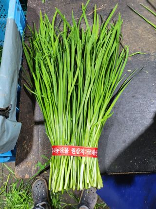 조일현님의 작성글 사진