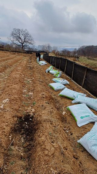 박순덕님의 자유주제 · 자유게시판 작성글 사진