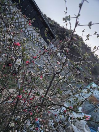 봉림동 태진농장님의 자유주제 · 자유게시판 작성글 사진