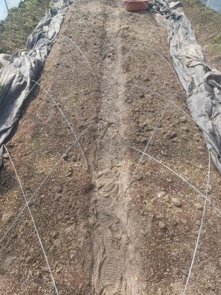 무료지식나눔 팜닥터님의 자유주제 · 자유게시판 작성글 사진