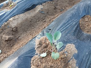 김성식님의 자유주제 · 자유게시판 작성글 사진