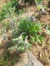 팜모닝 자유주제·자유게시판 게시글 이미지