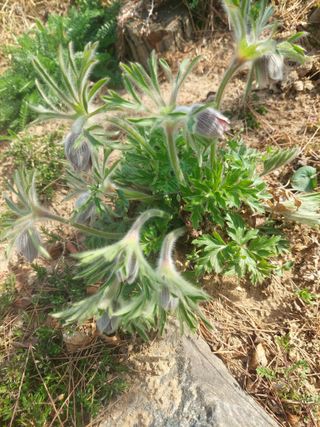 재연농장님의 자유주제 · 자유게시판 작성글 사진