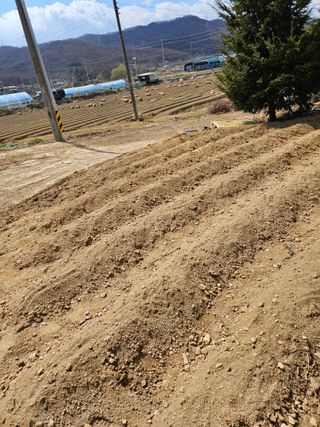 박인화님의 자유주제 · 자유게시판 작성글 사진