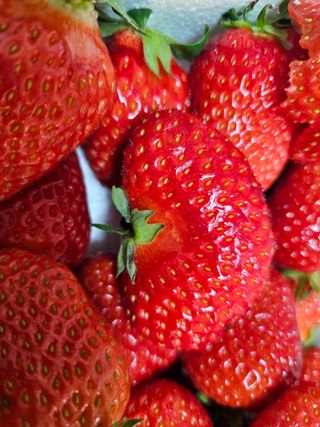 백용기님의 자유주제 · 자유게시판 작성글 사진