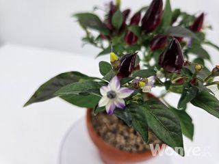 최한기님의 작성글 사진