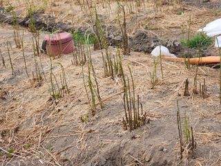 이창신님의 자유주제 · 자유게시판 작성글 사진