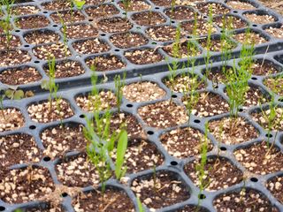 이창신님의 자유주제 · 자유게시판 작성글 사진