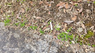 솔바람 님의 산불 피해 괜찮으신가요? · 참여글 작성글 사진