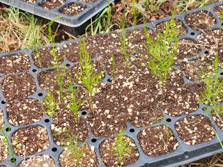 이창신님의 자유주제 · 자유게시판 작성글 사진