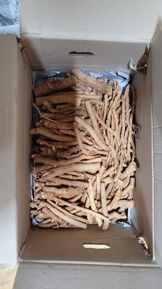 아로니아체리농부유튜님의 자유주제 · 자유게시판 작성글 사진