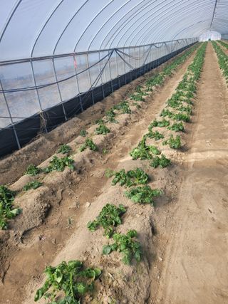 임한혁님의 자유주제 · 자유게시판 작성글 사진