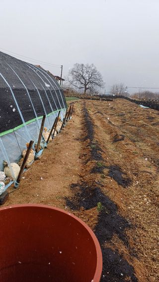 박순덕님의 자유주제 · 자유게시판 작성글 사진