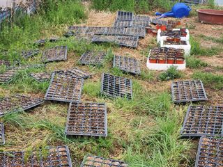 이창신님의 자유주제 · 자유게시판 작성글 사진