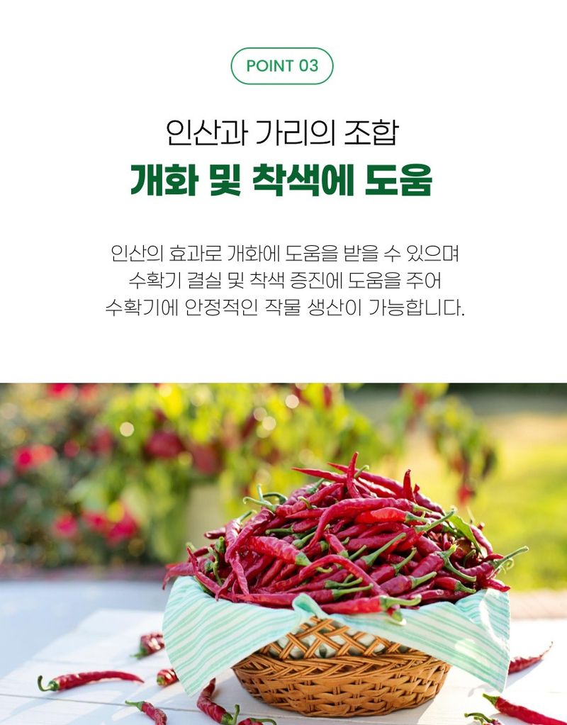 플랜큐님의 장터 판매 상품 [더쎈 인산가리 1kg 수용성 인산가리 비료] 첨부 사진
