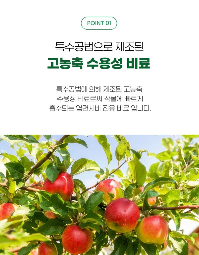 플랜큐님의 장터 판매 상품 [더쎈 인산가리 1kg 수용성 인산가리 비료] 첨부 사진
