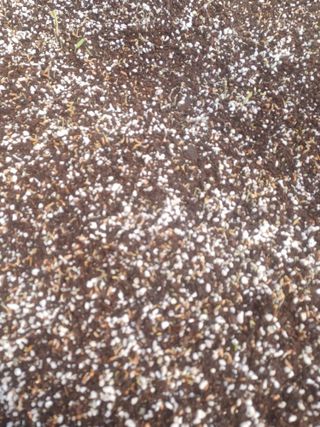 무료지식나눔 팜닥터님의 자유주제 · 자유게시판 작성글 사진