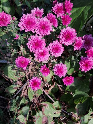 최한기님의 작성글 사진