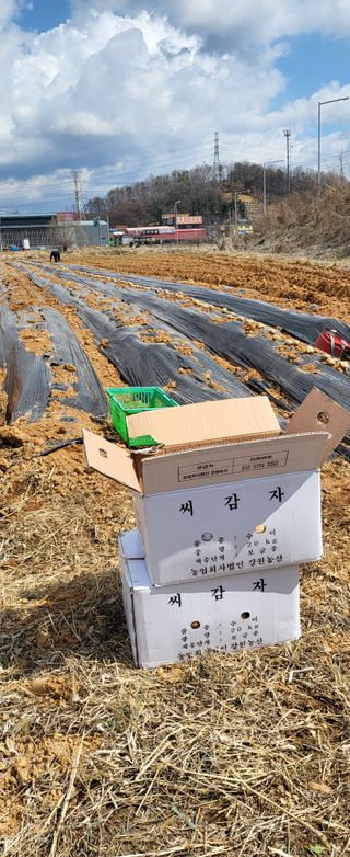 장경화님의 자유주제 · 자유게시판 작성글 사진