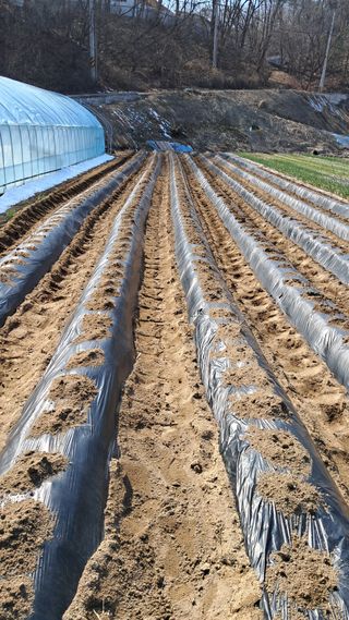 안영섭님의 작성글 사진