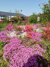 팜모닝 · 게시글 이미지