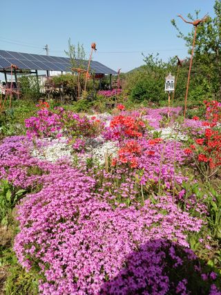 이용길님의 작성글 사진