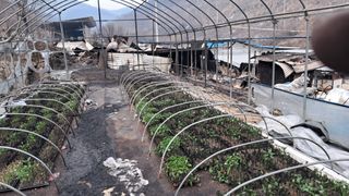 김호문님의 산불 피해 괜찮으신가요? · 참여글 작성글 사진