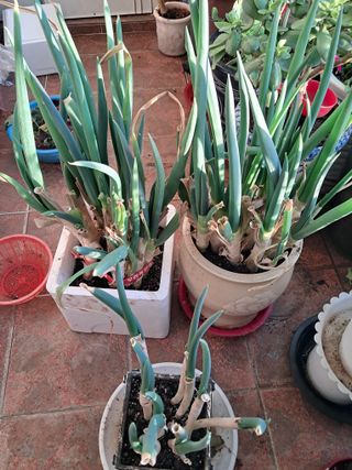 최한기님의 작성글 사진