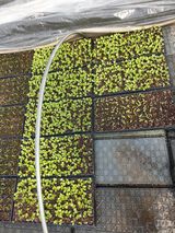 팜모닝 2025 풍년들게 하소서!·참여글 게시글 이미지