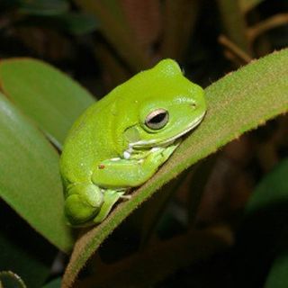 최한기님의 작성글 사진