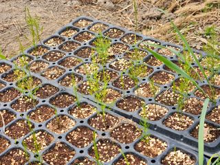 이창신님의 자유주제 · 자유게시판 작성글 사진